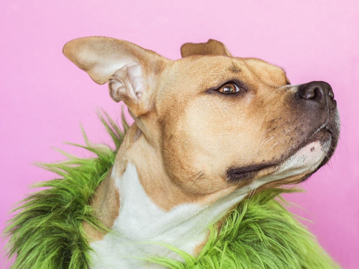 DA ZURIGO. Lo sguardo dietro il&nbsp;palco